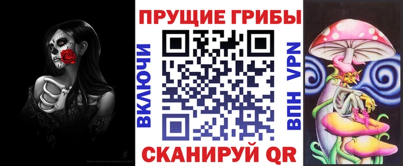 Купить закладки  Морозовск  Галлюциногенные грибы Magic Shrooms 