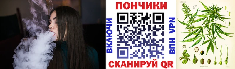 Бошки Шишки марихуана  Купить где  Морозовск 